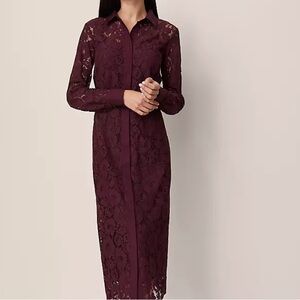 Ann Taylor Beautiful Soft Lace Long Sleeve Dress
Brand new never worn with belt!